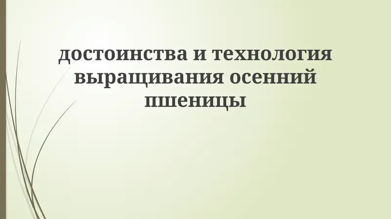 Технология выращивания осенней пшеницы