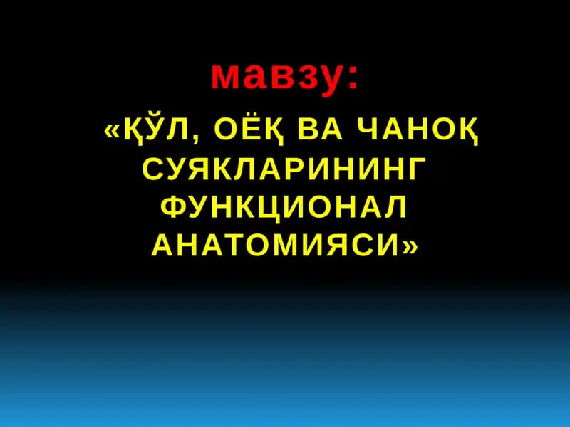 Қўл, оёк ва чанок суякларининг функционал анатомияси