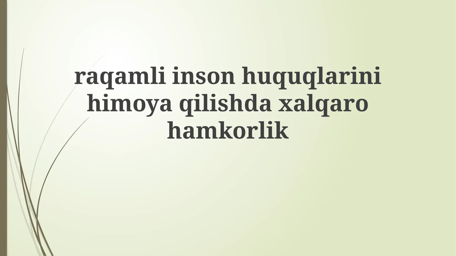 Raqamli inson huquqlarini himoya qilish daxalqarohamkorlik