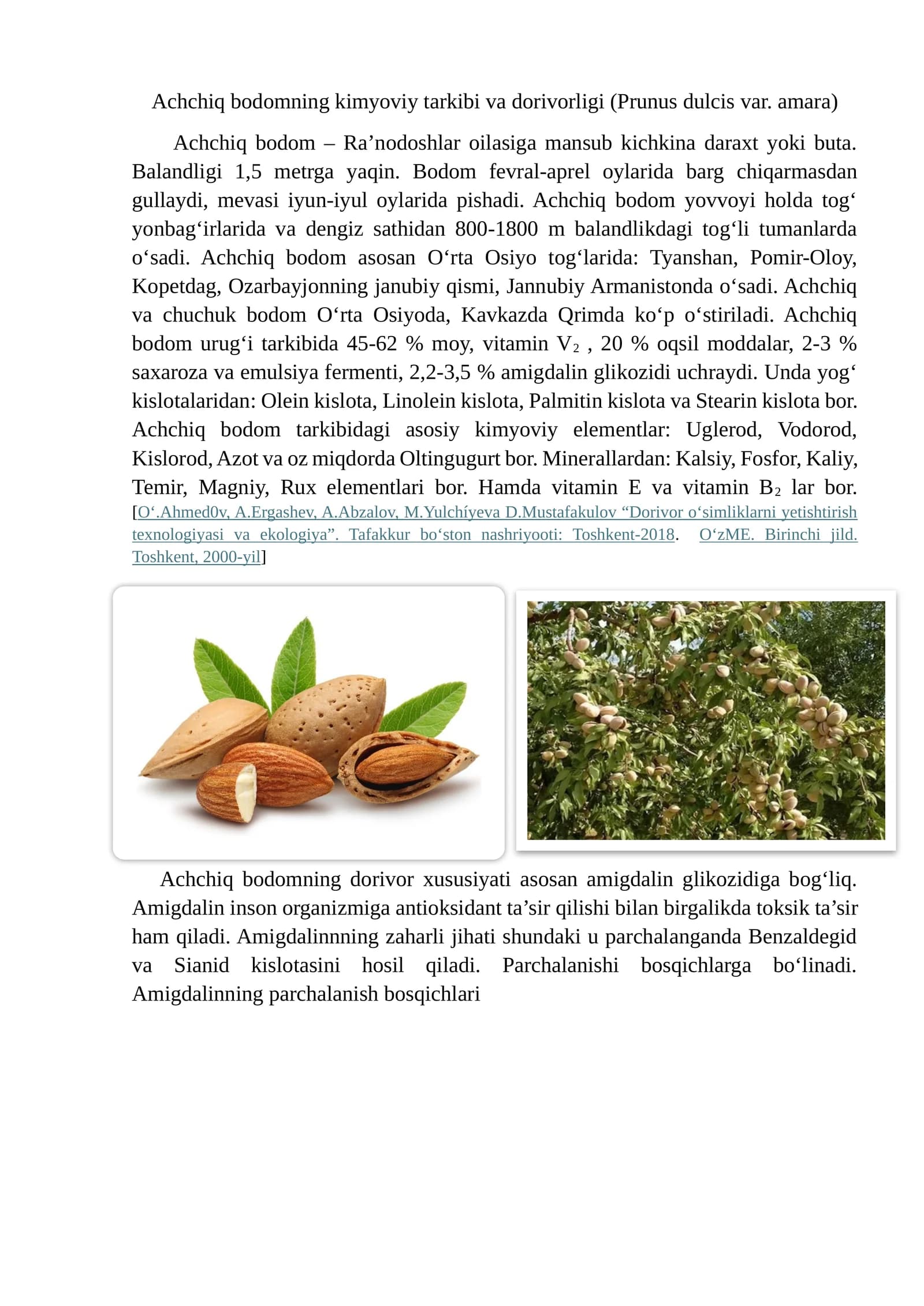 Achchiq bodom