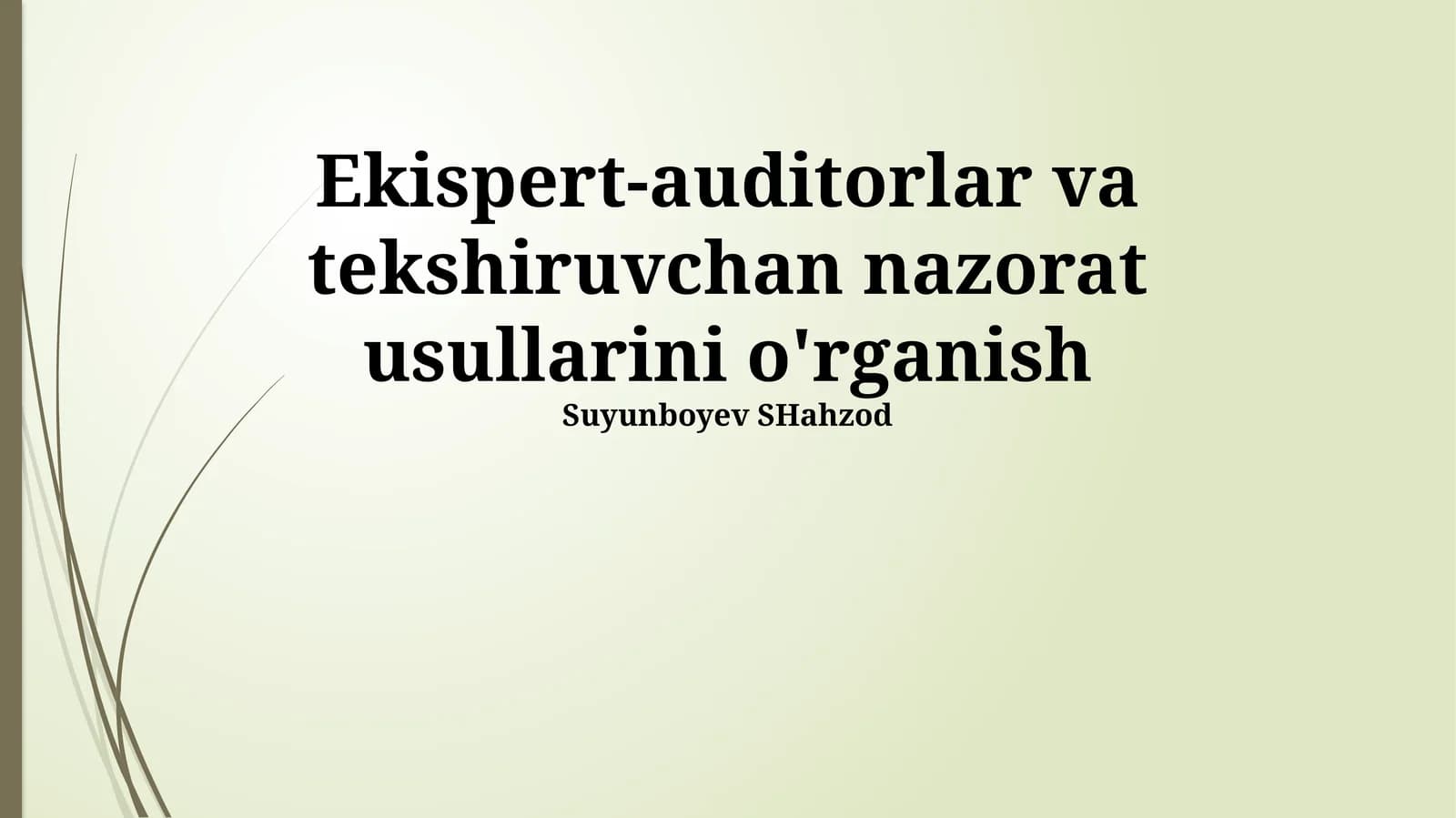 Ekispert-auditorlar va tekshiruvchan nazorat usullarini o'rganish
