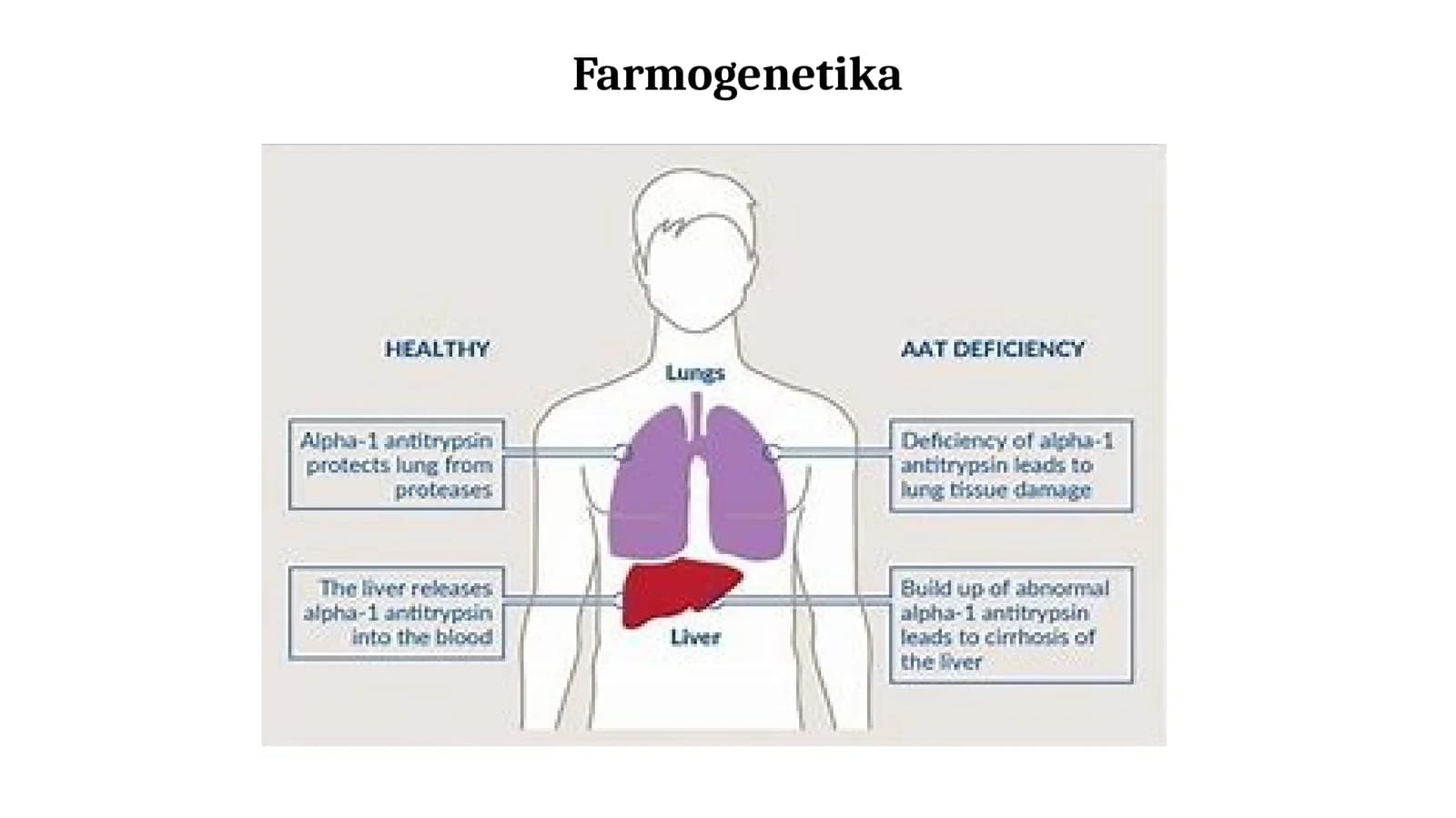 Farmogenetika