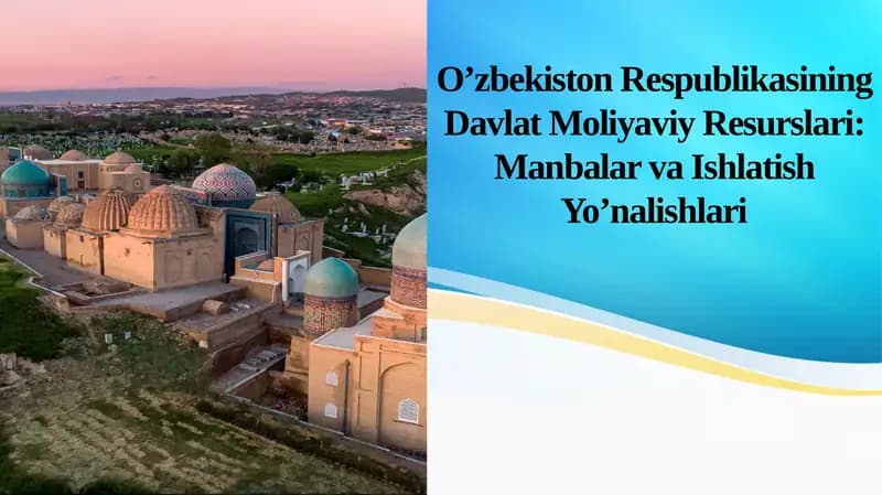 O’zbekiston Respublikasining Davlat Moliyaviy Resurslari: Manbalar va Ishlatish Yo’nalishlari