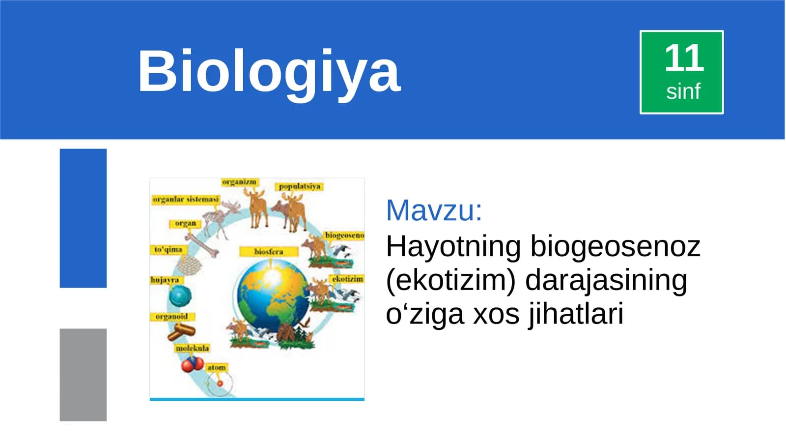 Hayotning biogeosenoz (ekotizim) darajasining o‘ziga xos jihatlari