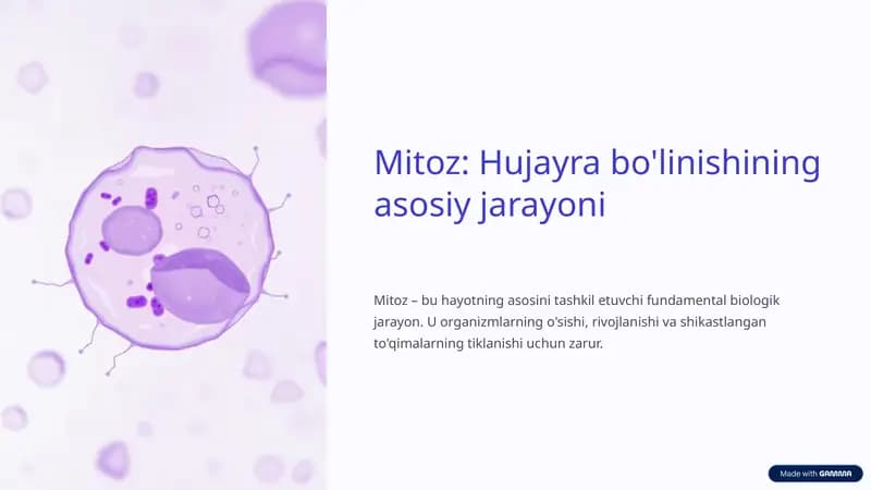 Mitozning ahamiyati