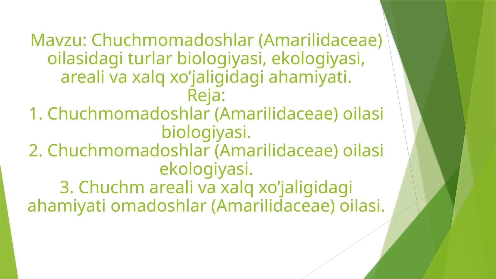 Chuchmomadoshlar oilasi (Chuchmomadoshlar)