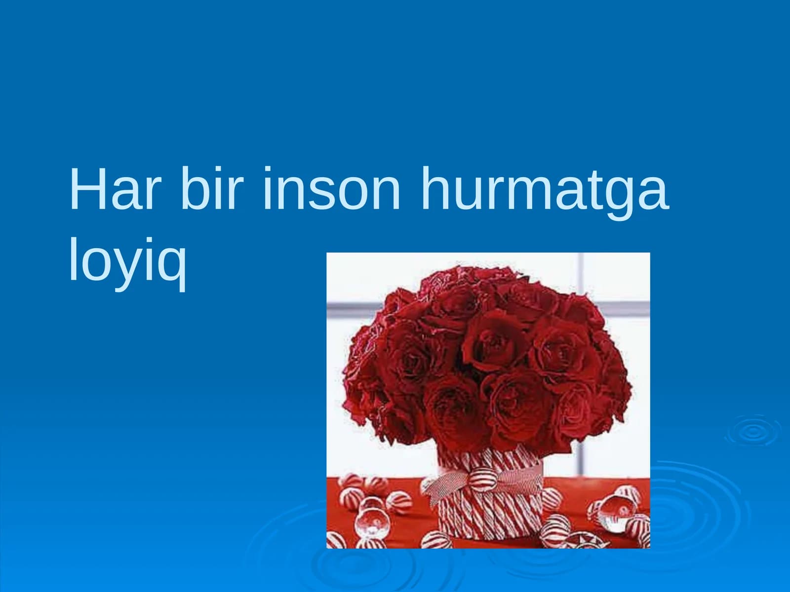 Har bir inson hurmatga loyiq