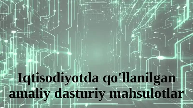 Iqtisodiyotda qo'llanilgan amaliy dasturiy mahsulotlar