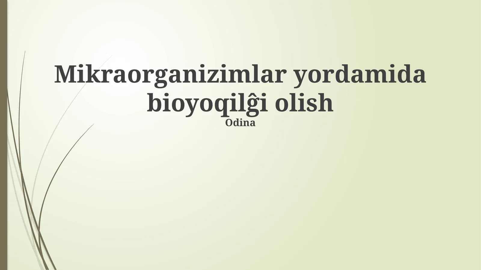 Mikroorganizm yordamida bioyoqilĝi olish