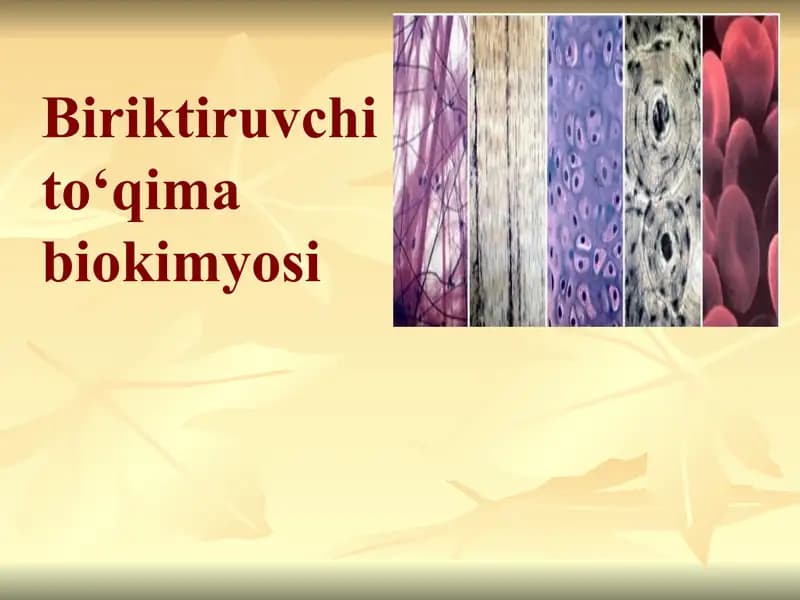 Biokimyo fanidan Biriktiruvchi toʻqima biokimyosi mavzusida prezentatsiya toʻliq