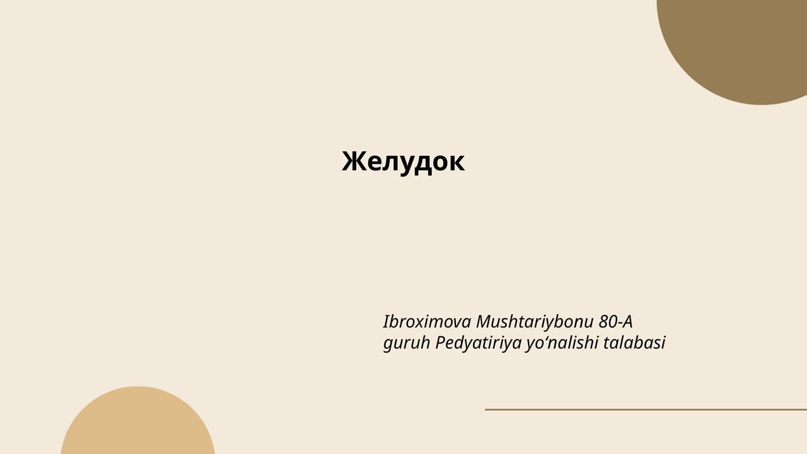 Желудок