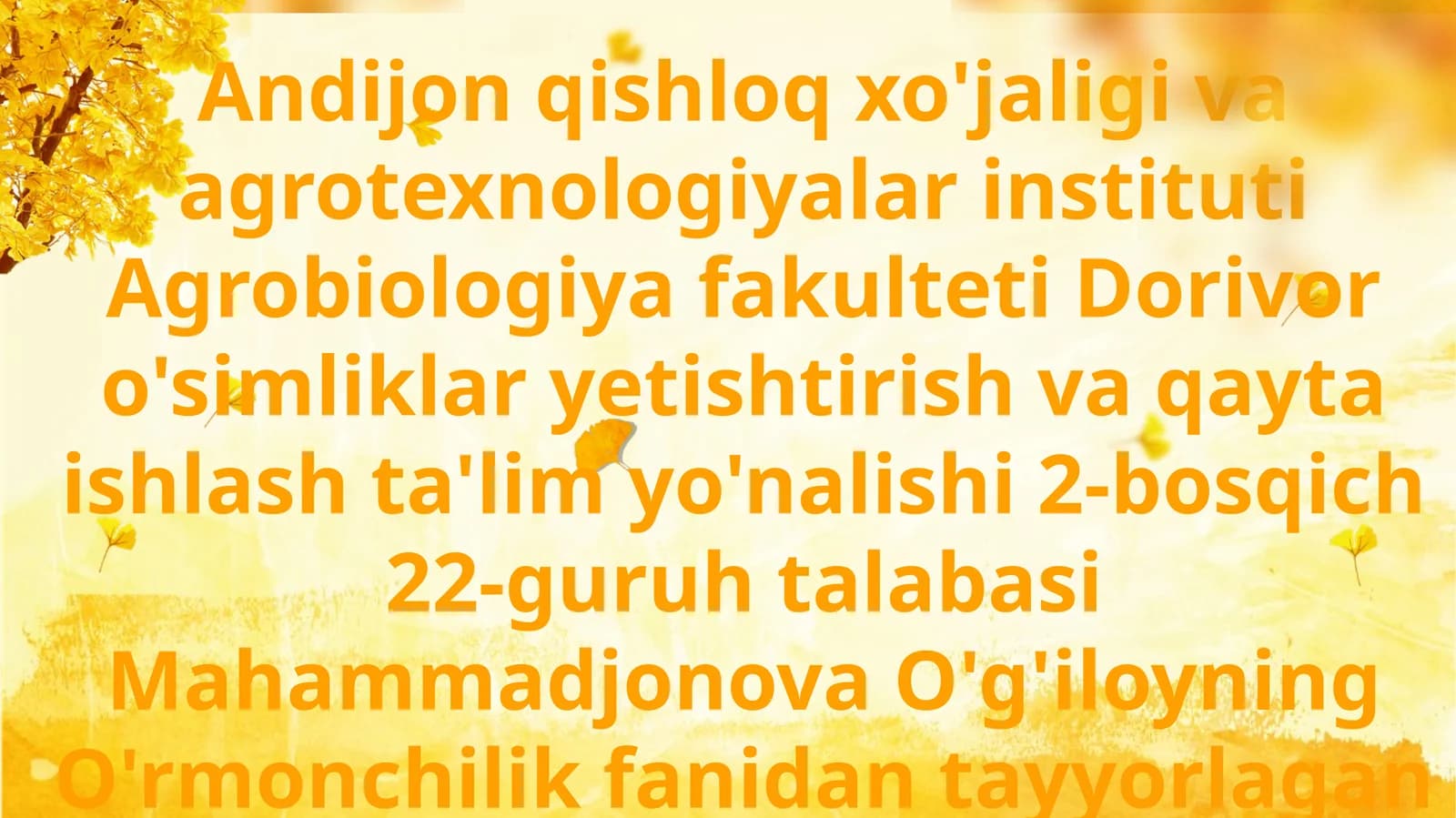O'rmonning gidrologik ahamiyati