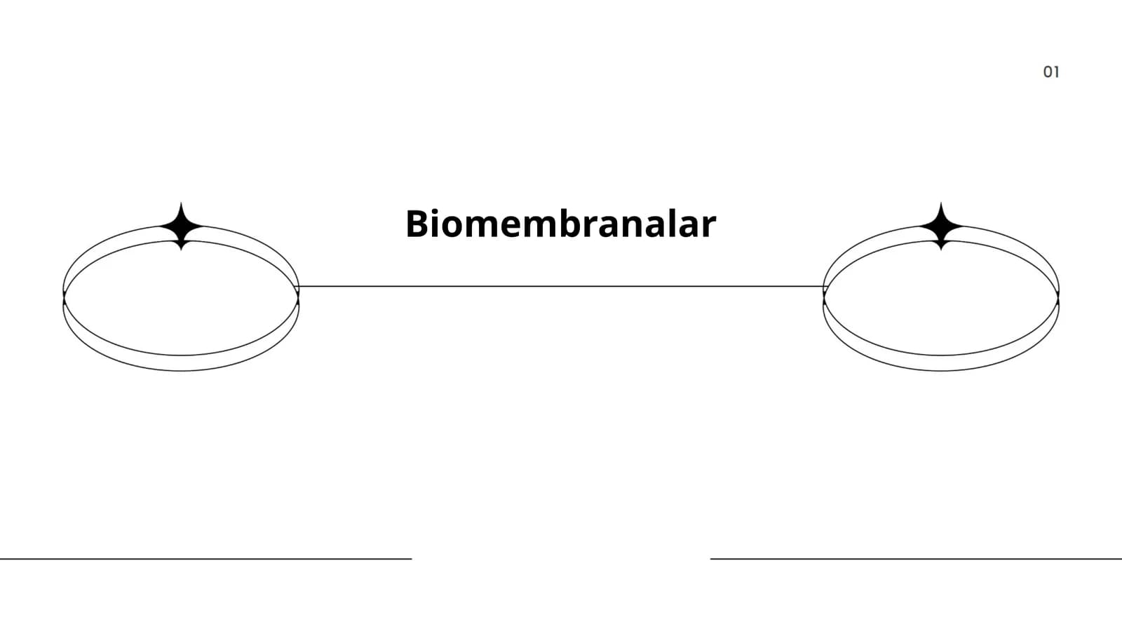 Biomembranalar