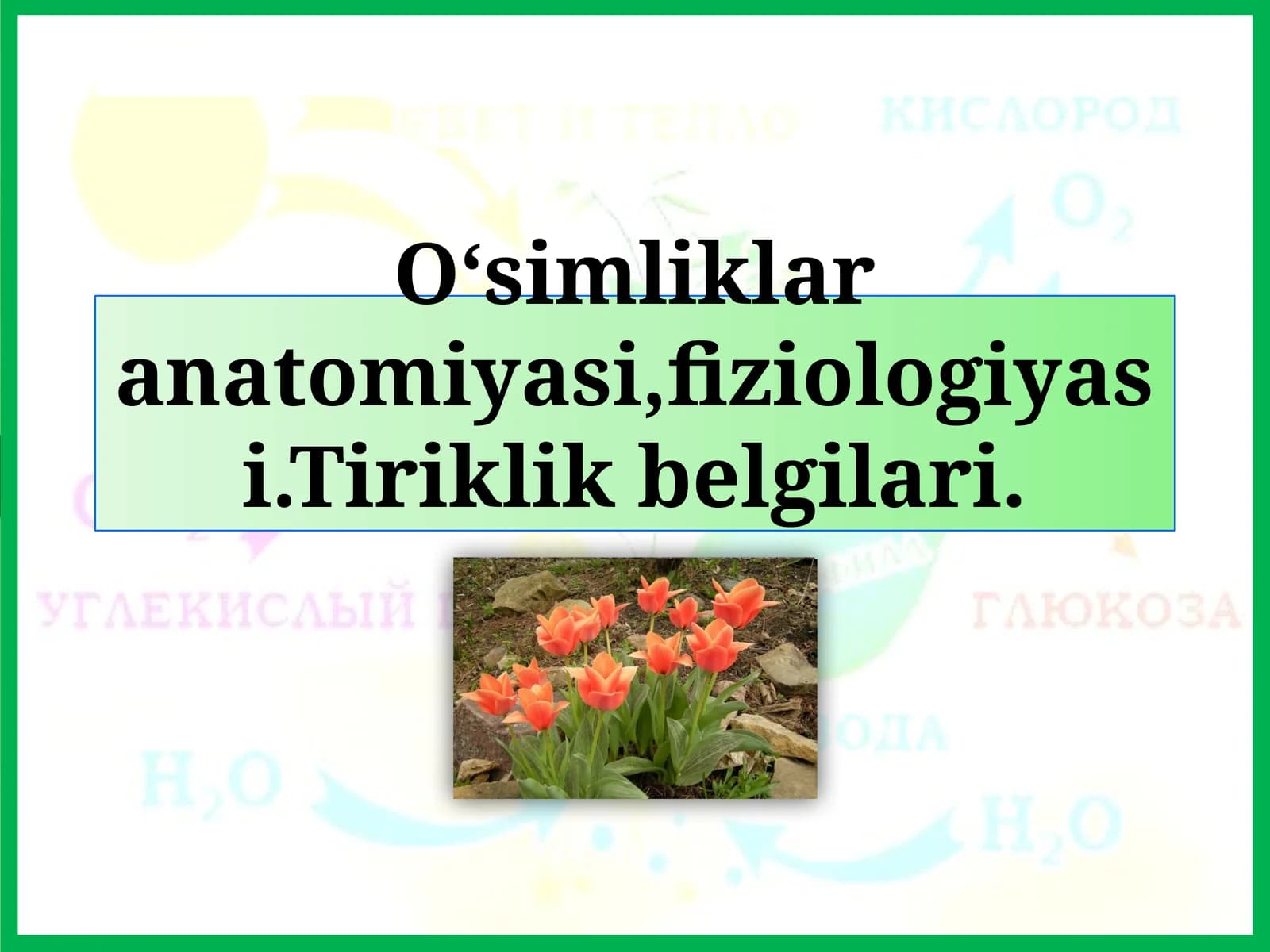 O‘simliklar anatomiyasi, fiziologiyasi. Tiriklik belgilari