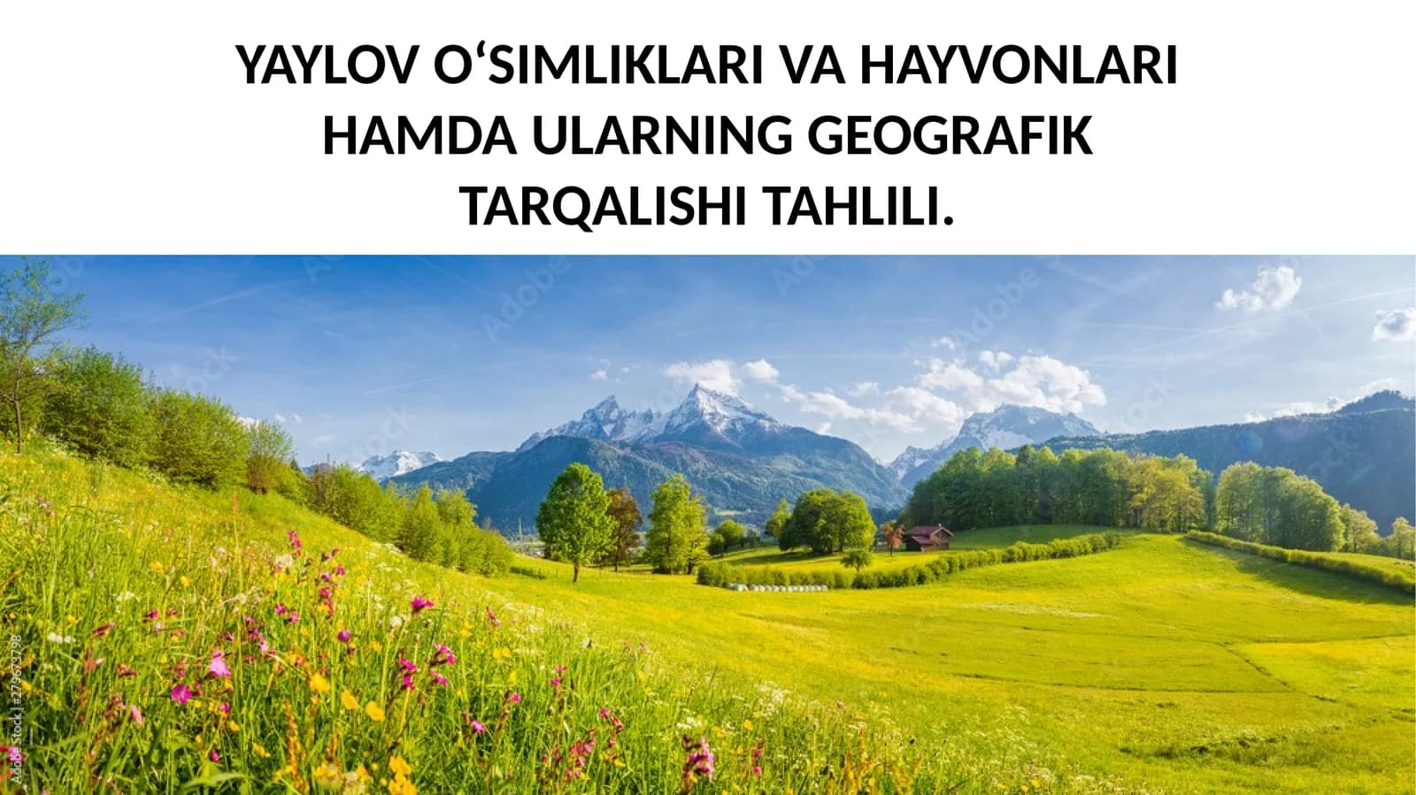 Yaylov O‘simliklari va Hayvonlari Hamda Ularning Geografik Tarqalishi Tahlili
