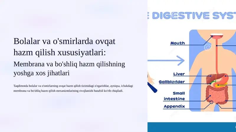 Bolalar va o'smirlarda ovqat hazm qilish xususiyatlari: Membrana va bo'shliq hazm qilishning yoshga xos jihatlari