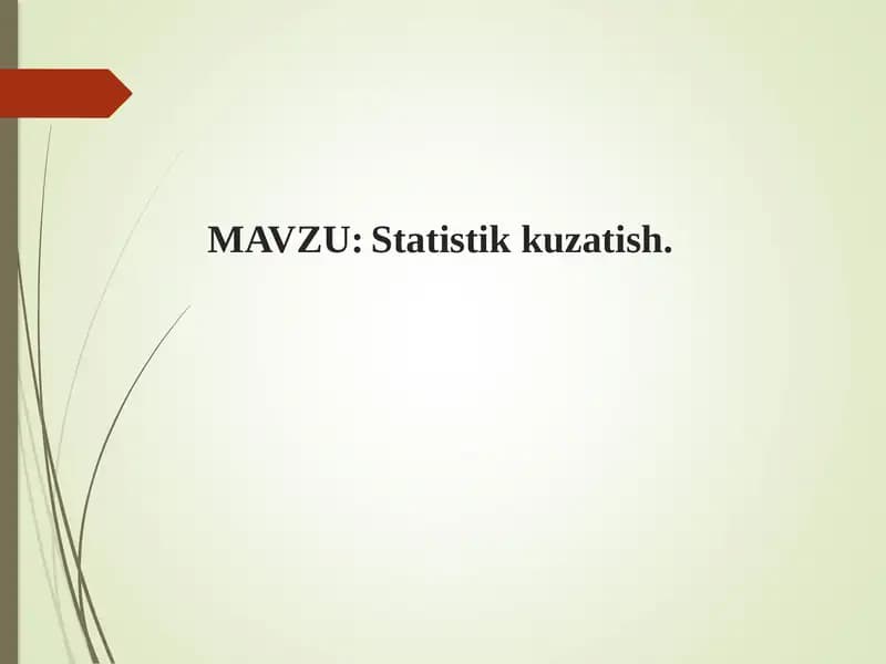 Statistikkuzatish
