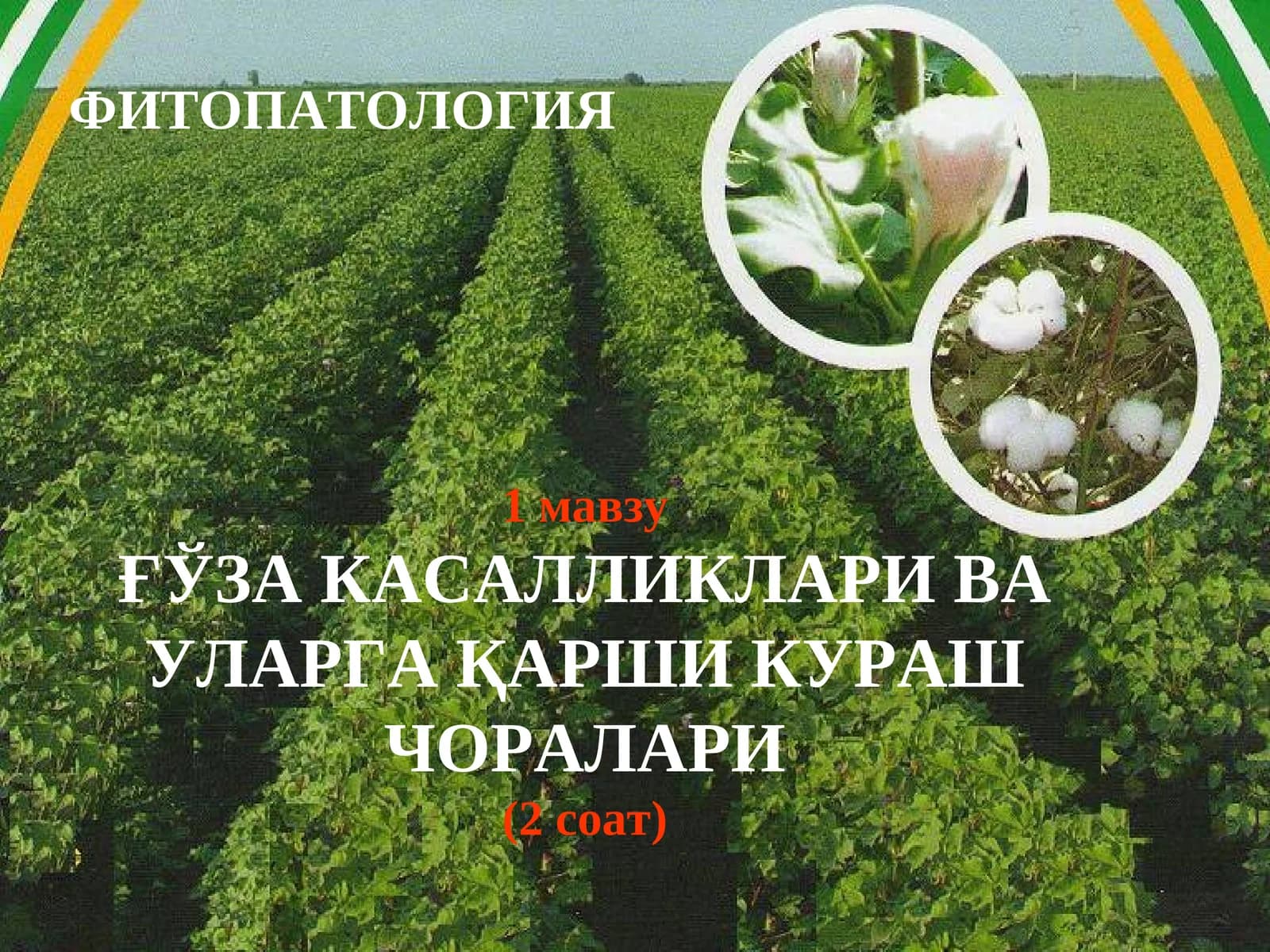 ФИТОПАТОЛОГИЯ