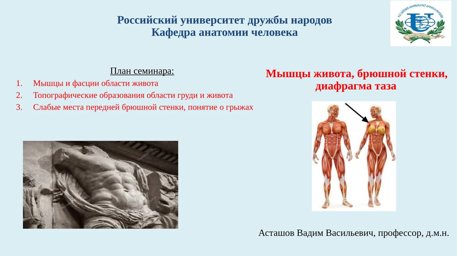Мышцы живота, брюшной стенки, диафрагма таза