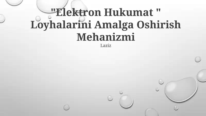 Elektron Hukumat " Loyhalarini Amalga Oshirish Mehanizmi