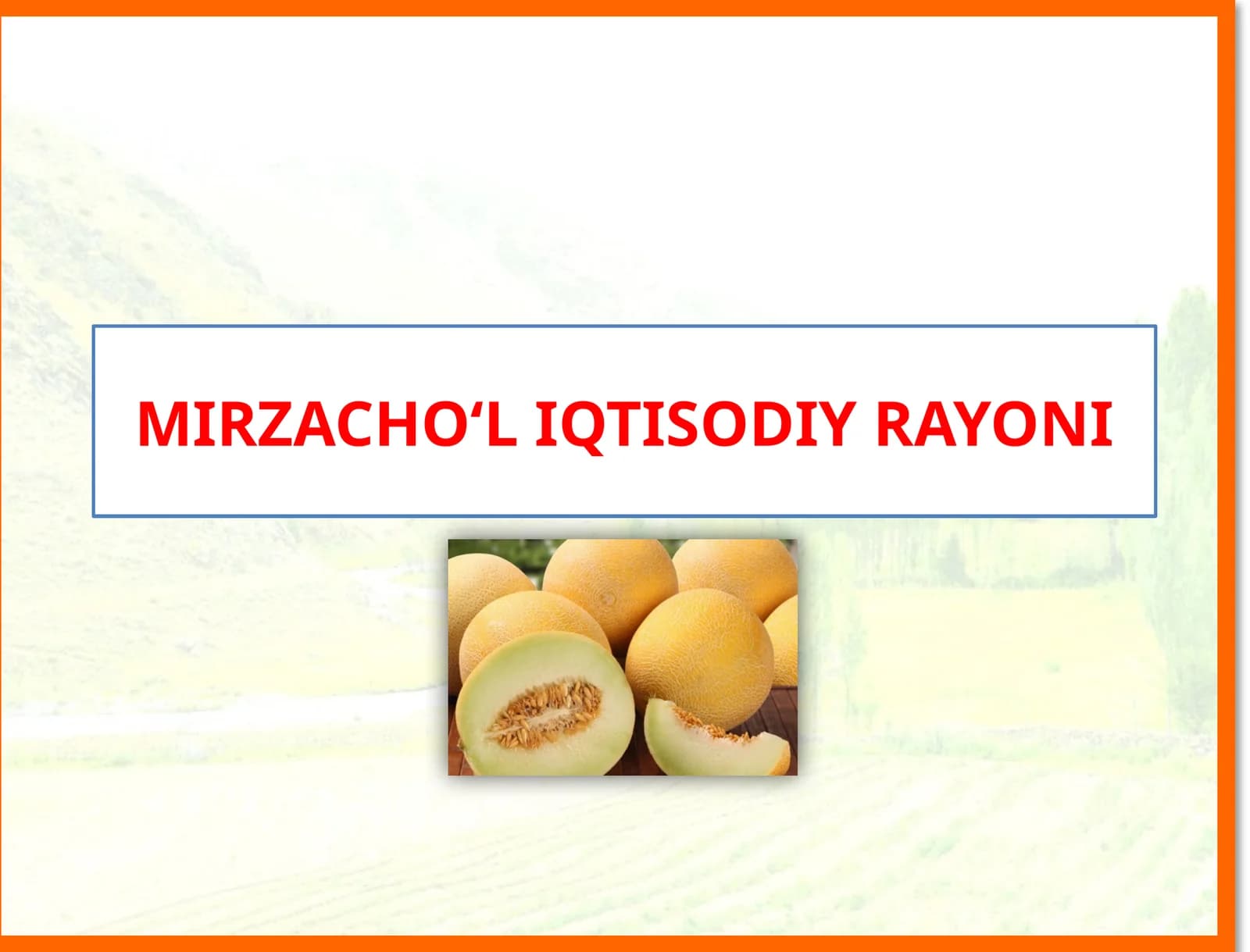 MIRZACHO‘L IQTISODIY RAYONI