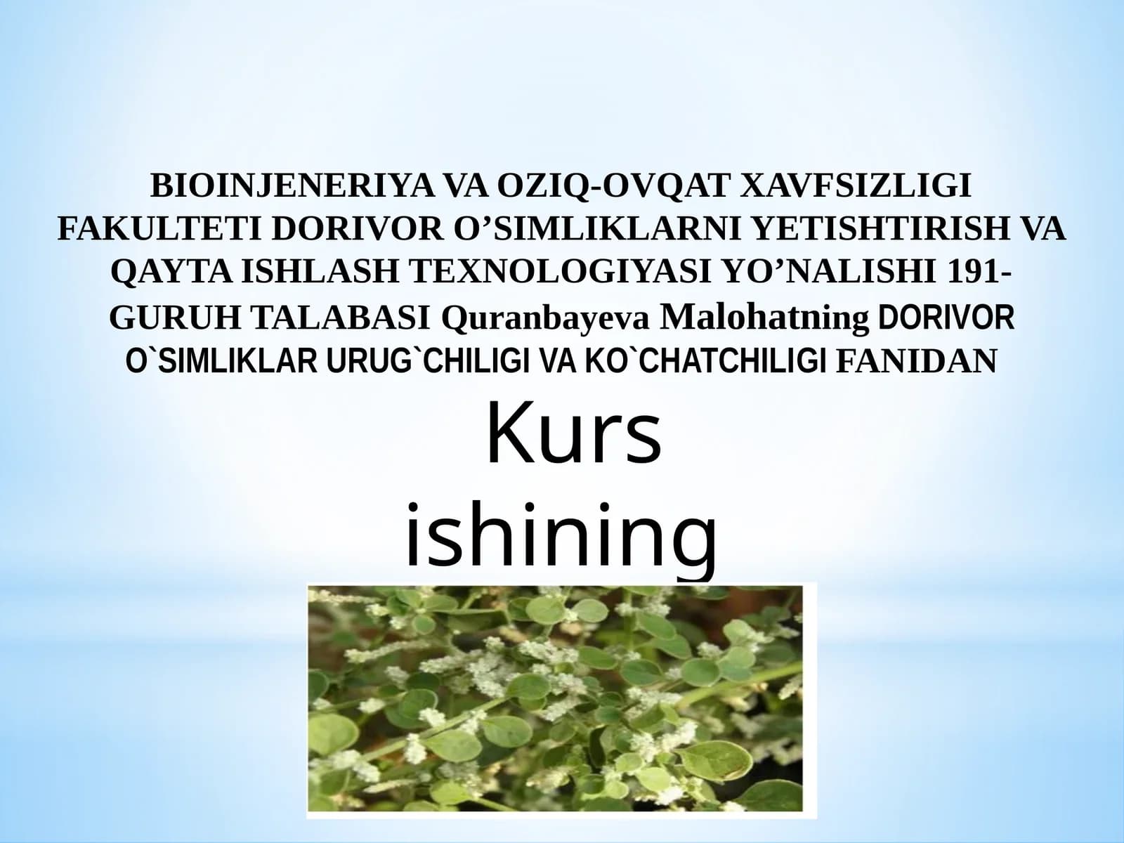 BIOINJENERIYA VA OZIQ-OVQAT XAVFSIZLIGI FAKULTETI DORIVOR O’SIMLIKLARNI YETISHTIRISH VA QAYTA ISHLASH TEXNOLOGIYASI YO’NALISHI 191-GURUH TALABA