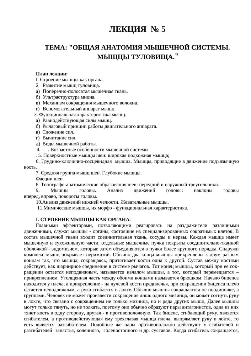 ЛЕКЦИЯ № 5 "ОБЩАЯ АНАТОМИЯ МЫШЕЧНОЙ СИСТЕМЫ. МЫЩЦЫ ТУЛОВИЩА"