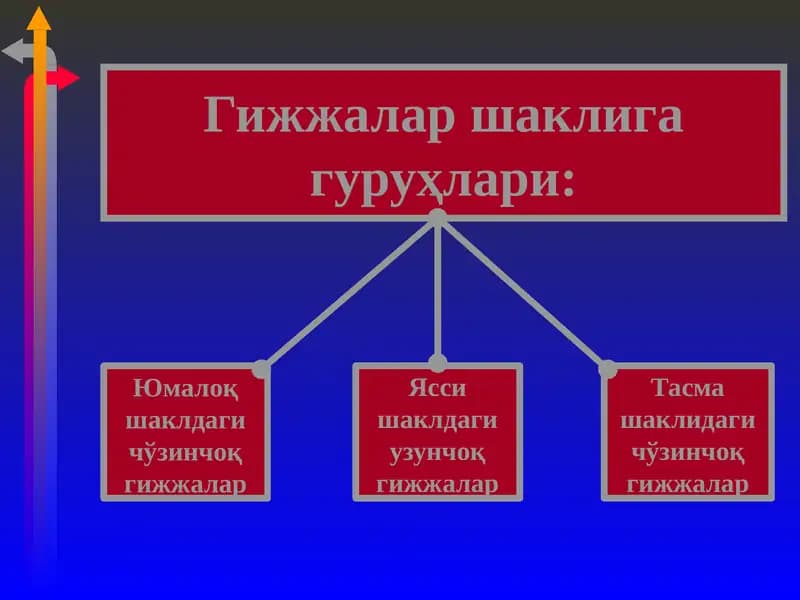Гижжалар шаклига гуруҳлари