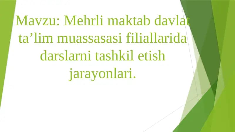 Mehrli maktab davlat ta’lim muassasasi filiallarida darslarni tashkil etish jarayonlari.