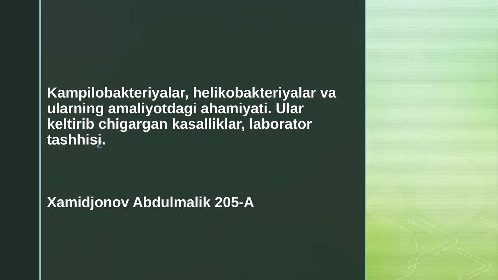 Kampilobakteriyalar, helikobakteriyalar va ularning amaliyotdagi ahamiyati. Ularning keltirib chiqargan kasalliklar, laborator tashxisi