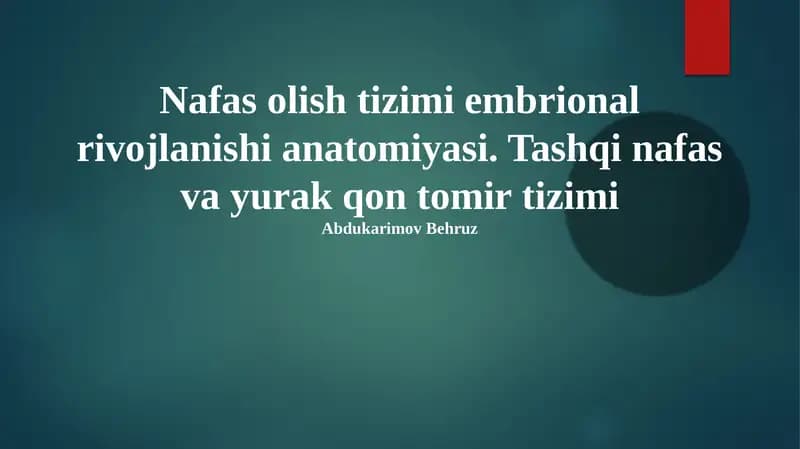Nafas olish va yurak-qon tomir tizimi anatomiyasi