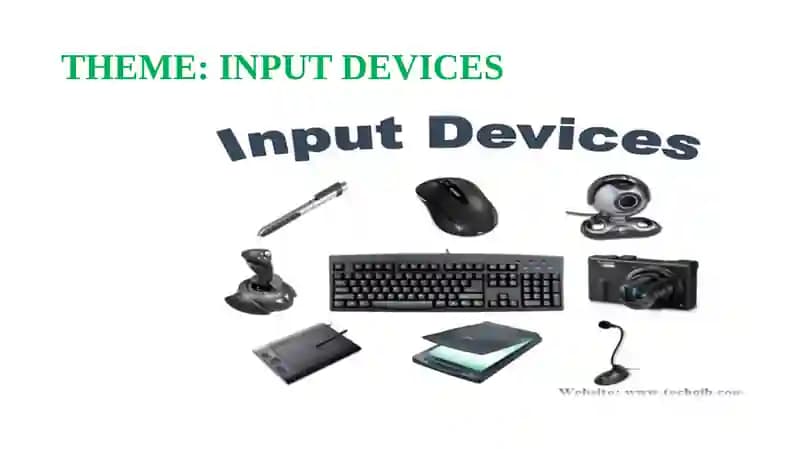 Input Devices