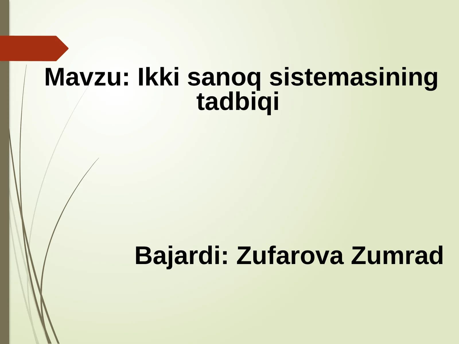 Ikki sanoq sistemasining tadbiqi