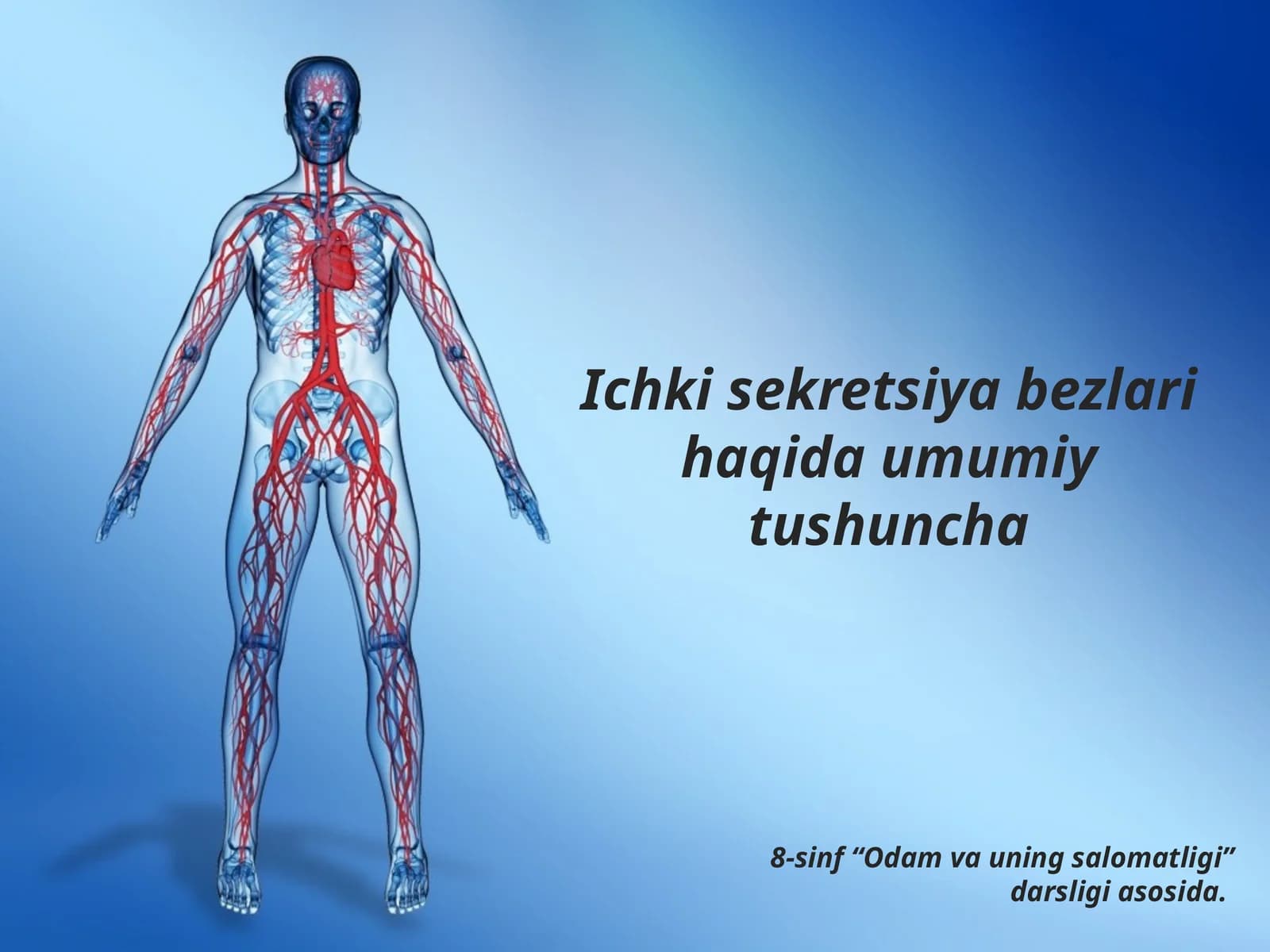 Ichki sekretsiya bezlari haqida umumiy tushuncha