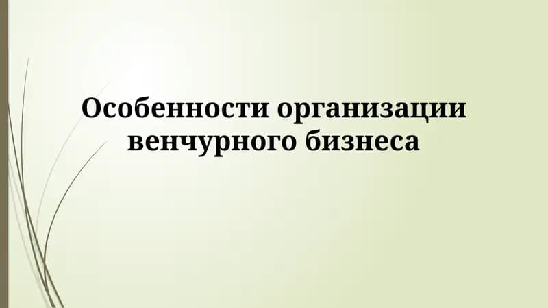 Особенности организации венчурного бизнеса