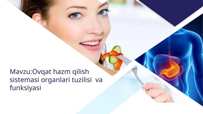Ovqathazmqilishsistemasiorganlarituzilisivafunksiyasi