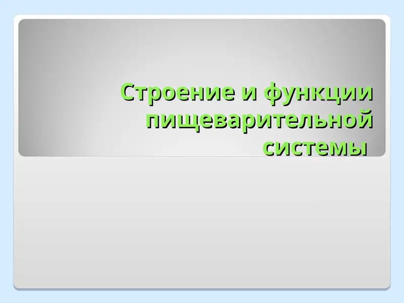 Строение и функции пищеварительной системы