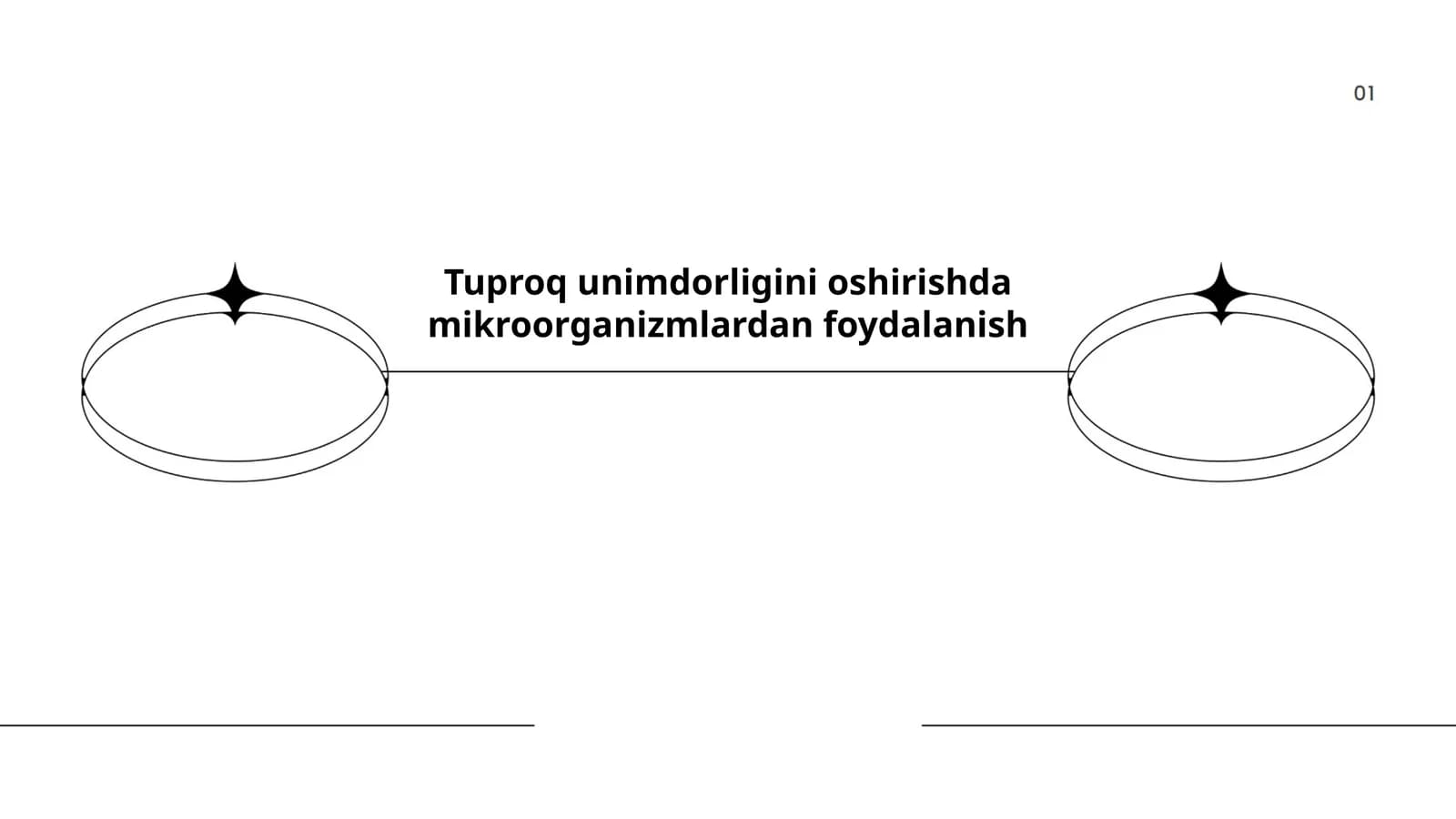 Tuproq unimdorligini oshirishda mikroorganizmlardan foydalanish