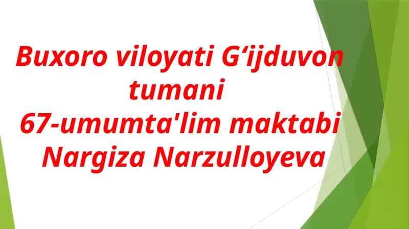 Ikki amalli masalalar