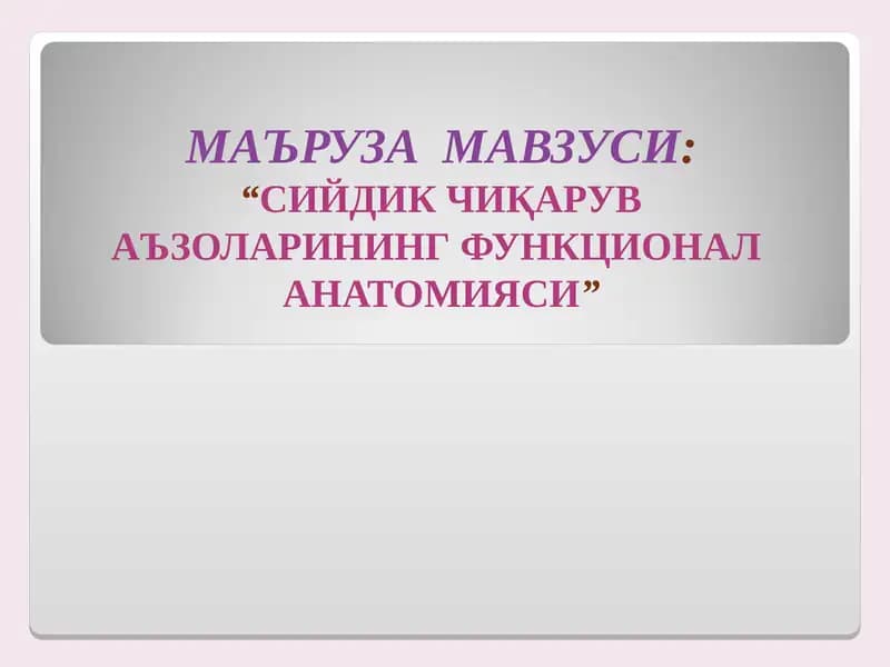 Сийдик Чиқарув Аъзоларининг Функционал Анатомияси