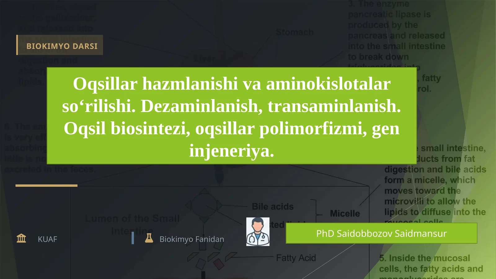 Oqsillar hazmlanishi va aminokislotalar so‘rilishi.
