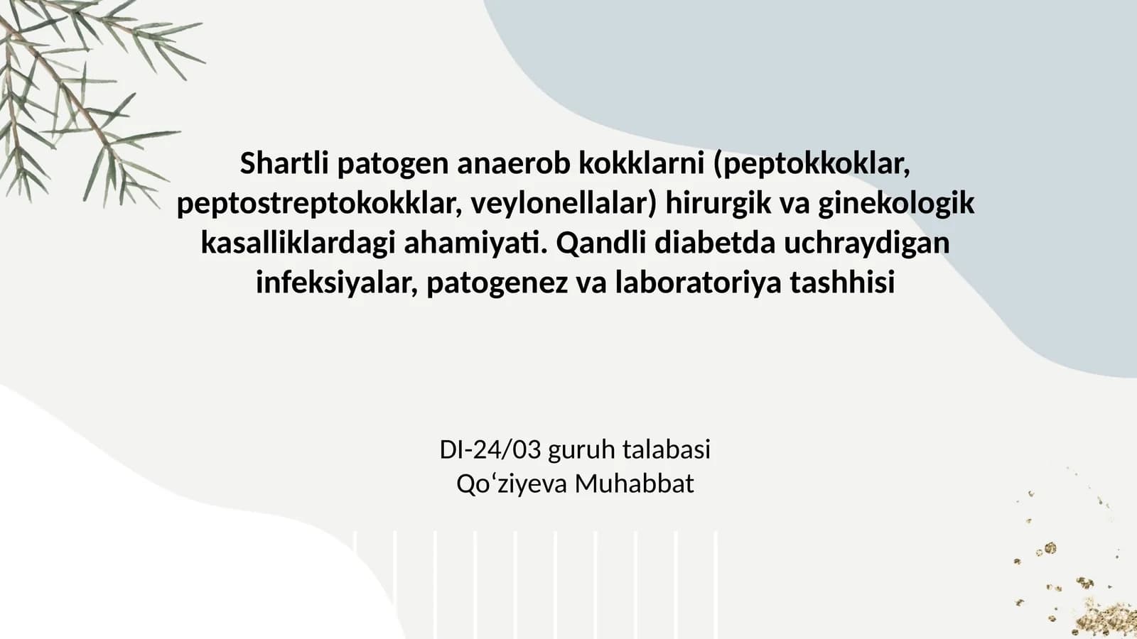 Shartli patogen anaerob kokklarni (peptokkoklar, peptostreptokokklar, veylonellalar) hirurgik va ginekologik kasalliklardagi ahamiyati. Qandli diabetda uchraydigan infeksiyalar, patogenez va laboratoriya tashhisi
