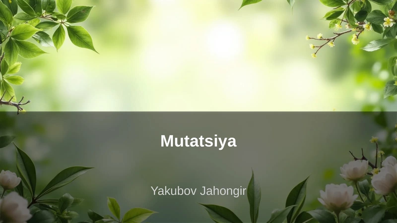 Mutatsiya