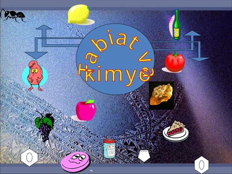Kimyo kislotalari