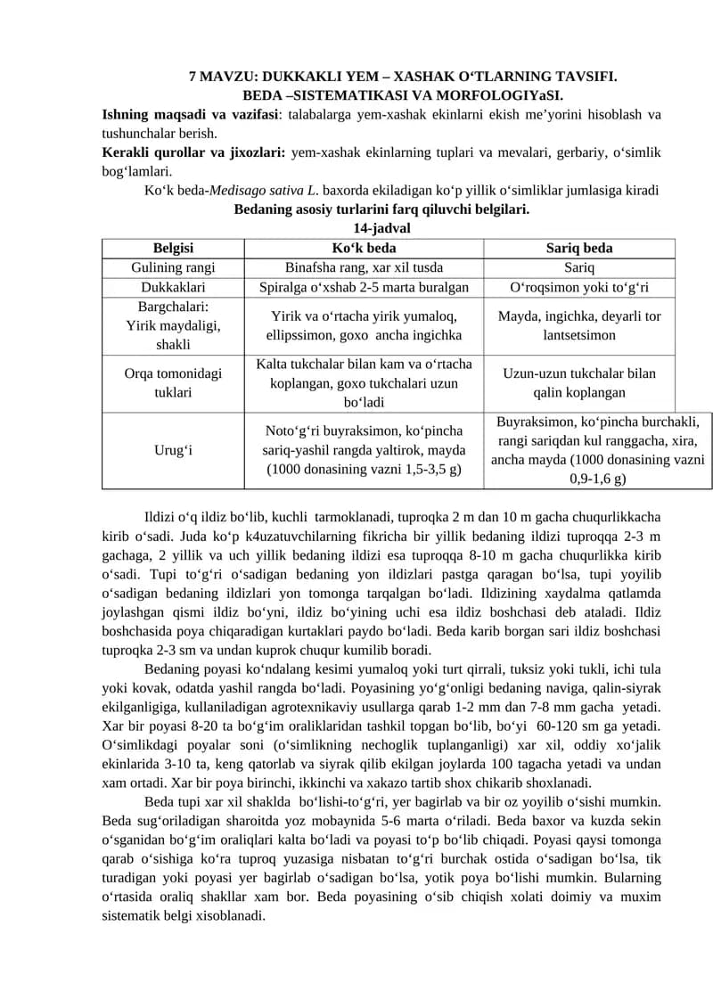 DUKKAKLI YEM – XASHAK O‘TLARNING TAVSIFI