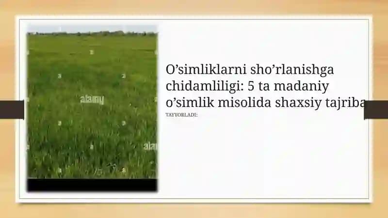 O’simliklarni sho’rlanishga chidamliligi: 5 ta madaniy o’simlik misolida shaxsiy tajriba