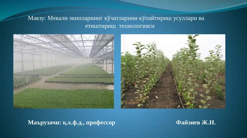 Мевали экинларнинг кўчатларини кўпайтириш усуллари ва етиштириш технологияси