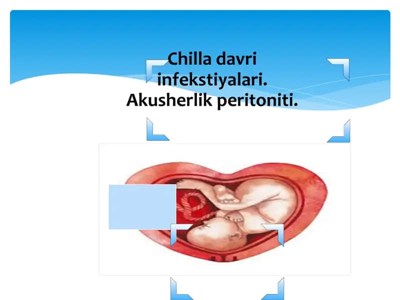 Chilla davri