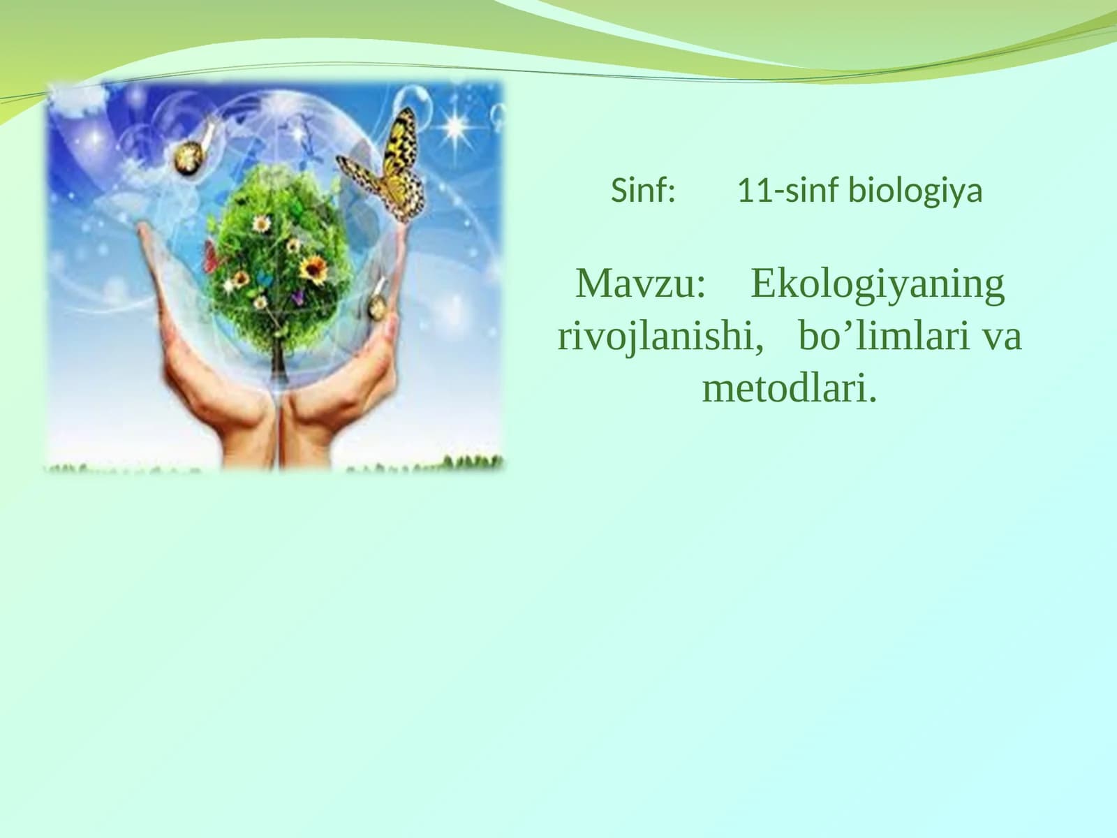 Ekologiyaning rivojlanishi, bo’limlari va metodlari