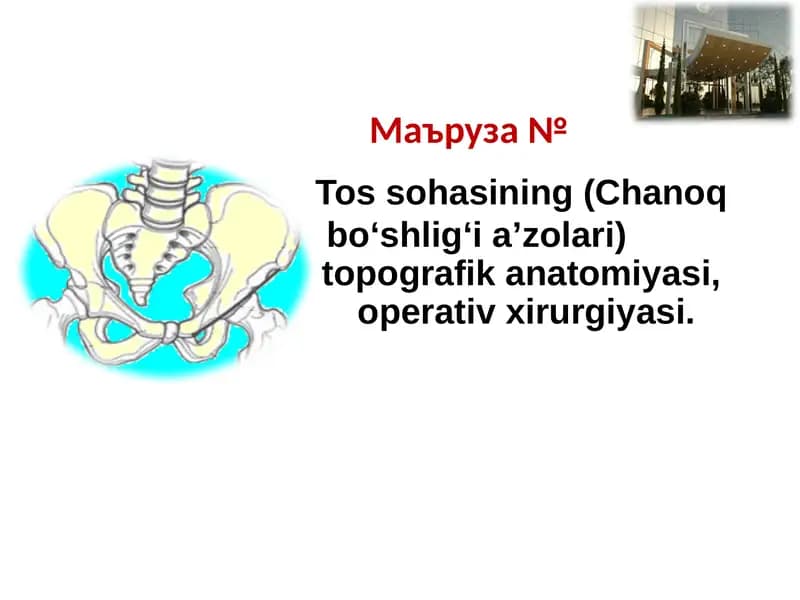 Tos sohasining (Chanoq bo‘shlig‘i a’zolari) topografik anatomiyasi, operativ xirurgiyasi.